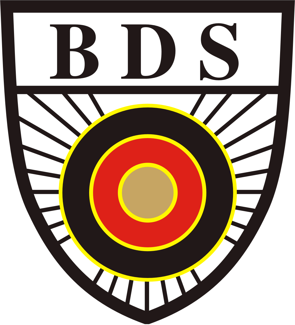 bds logo transpa